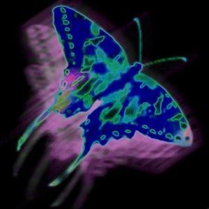 Meet your Posher, Iemma